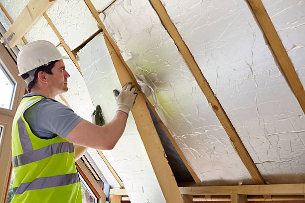 Best Cellulose Insulation in Rutledge, GA